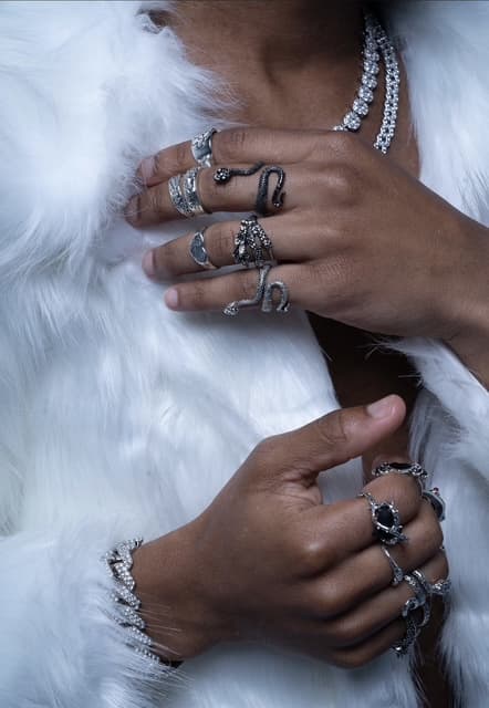 Silver jewelry and fur detail