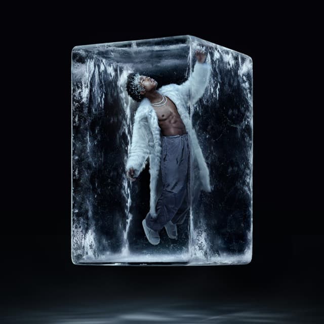 Kimanii contained inside a square ice block for ICEBREAKER
